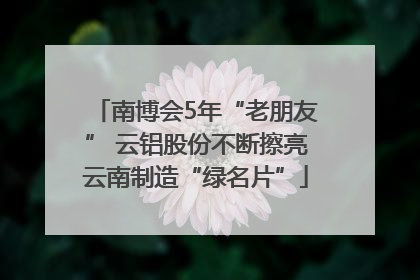 南博会5年“老朋友” 云铝股份不断擦亮云南制造“绿名片”