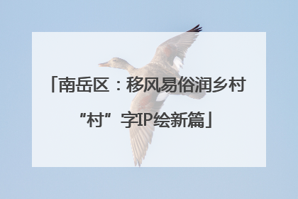 南岳区：移风易俗润乡村 “村”字IP绘新篇