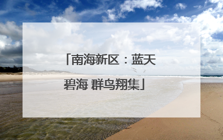 南海新区：蓝天碧海 群鸟翔集