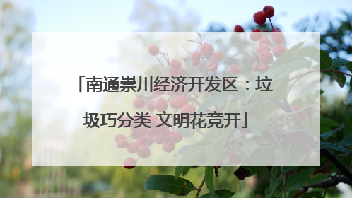南通崇川经济开发区：垃圾巧分类 文明花竞开