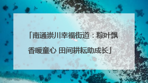 南通崇川幸福街道：粽叶飘香暖童心 田间耕耘助成长