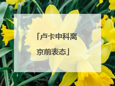 卢卡申科离京前表态