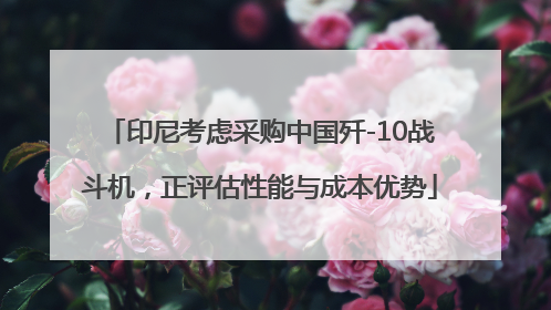 印尼考虑采购中国歼-10战斗机，正评估性能与成本优势