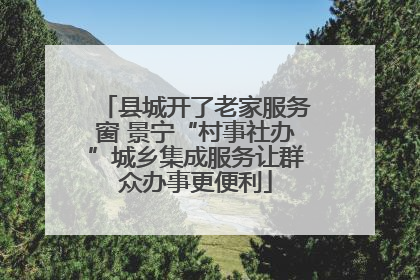 县城开了老家服务窗 景宁“村事社办”城乡集成服务让群众办事更便利