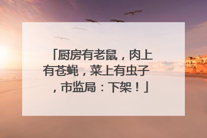 厨房有老鼠，肉上有苍蝇，菜上有虫子，市监局：下架！