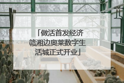 做活首发经济 赣湘边奥莱数字生活城正式开业