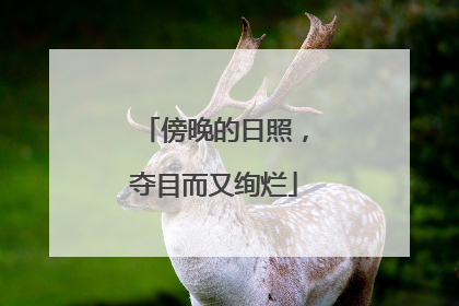傍晚的日照，夺目而又绚烂