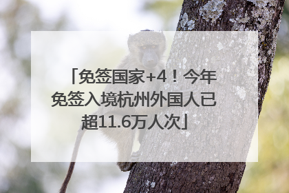 免签国家+4！今年免签入境杭州外国人已超11.6万人次