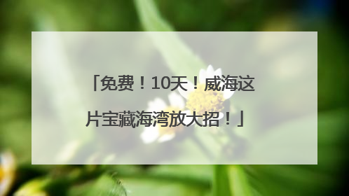免费！10天！威海这片宝藏海湾放大招！