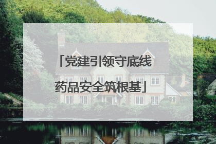 党建引领守底线 药品安全筑根基