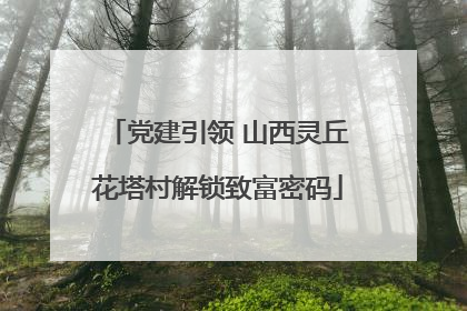 党建引领 山西灵丘花塔村解锁致富密码