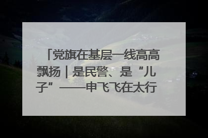 党旗在基层一线高高飘扬｜是民警、是“儿子”——申飞飞在太行山中的一线坚守