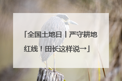 全国土地日丨严守耕地红线！田长这样说→