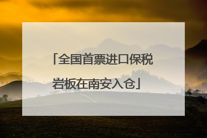 全国首票进口保税岩板在南安入仓
