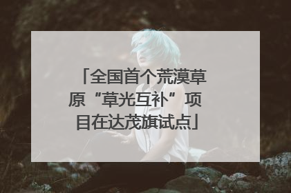 全国首个荒漠草原“草光互补”项目在达茂旗试点