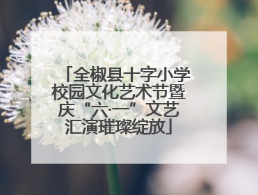全椒县十字小学校园文化艺术节暨庆“六·一”文艺汇演璀璨绽放