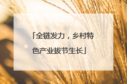 全链发力，乡村特色产业拔节生长