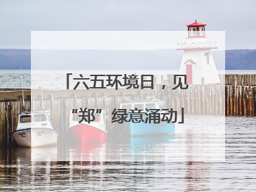 六五环境日，见“郑”绿意涌动