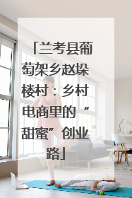 兰考县葡萄架乡赵垛楼村：乡村电商里的“甜蜜”创业路