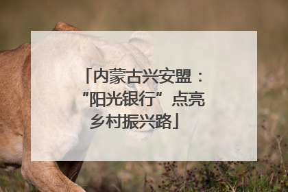 内蒙古兴安盟：“阳光银行”点亮乡村振兴路