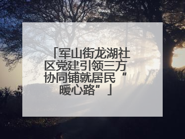 军山街龙湖社区党建引领三方协同铺就居民“暖心路”