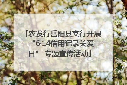 农发行岳阳县支行开展“6·14信用记录关爱日” 专题宣传活动