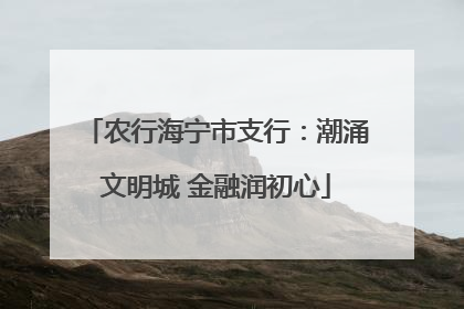 农行海宁市支行：潮涌文明城 金融润初心