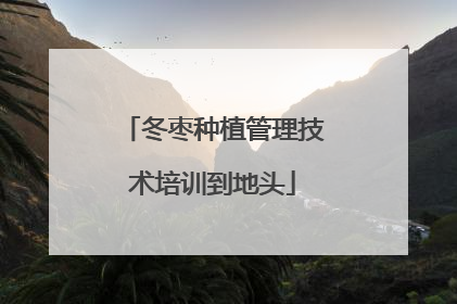 冬枣种植管理技术培训到地头