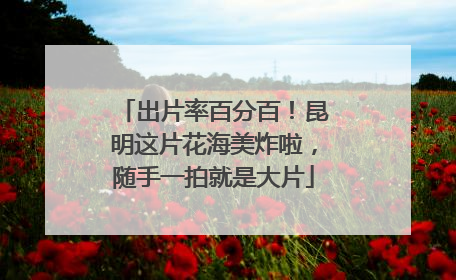 出片率百分百！昆明这片花海美炸啦，随手一拍就是大片