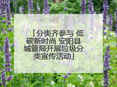 分类齐参与 低碳新时尚 安阳县城管局开展垃圾分类宣传活动