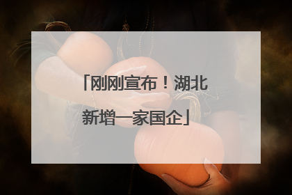 刚刚宣布！湖北新增一家国企