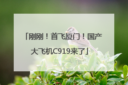 刚刚！首飞厦门！国产大飞机C919来了