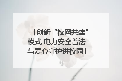 创新“校网共建”模式 电力安全普法与爱心守护进校园