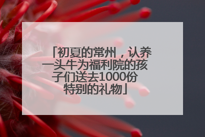 初夏的常州，认养一头牛为福利院的孩子们送去1000份特别的礼物