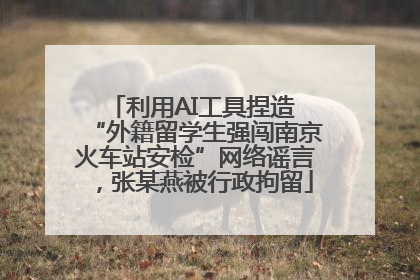 利用AI工具捏造 “外籍留学生强闯南京火车站安检”网络谣言，张某燕被行政拘留