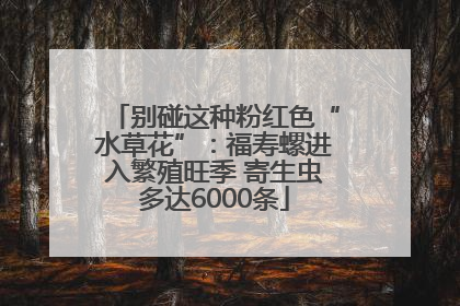 别碰这种粉红色“水草花”：福寿螺进入繁殖旺季 寄生虫多达6000条
