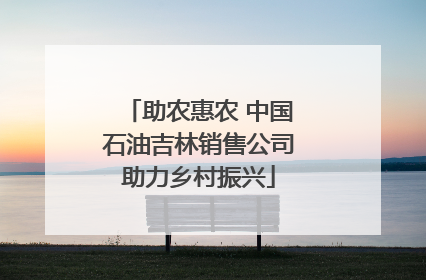 助农惠农 中国石油吉林销售公司助力乡村振兴