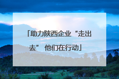 助力陕西企业“走出去” 他们在行动