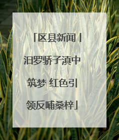 区县新闻丨汨罗骄子滇中筑梦 红色引领反哺桑梓