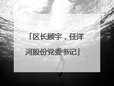 区长顾宇，任洋河股份党委书记