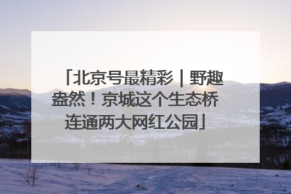 北京号最精彩｜野趣盎然！京城这个生态桥连通两大网红公园