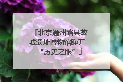 北京通州路县故城遗址博物馆睁开“历史之眼”