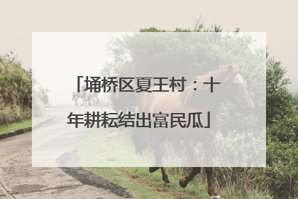 埇桥区夏王村：十年耕耘结出富民瓜
