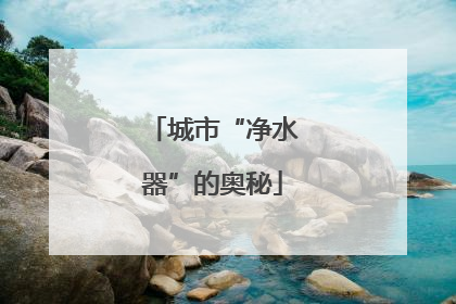 城市“净水器”的奥秘