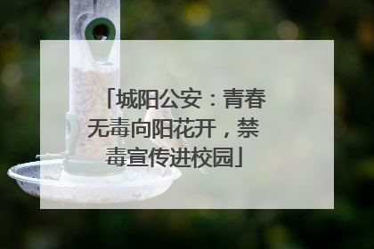城阳公安：青春无毒向阳花开，禁毒宣传进校园