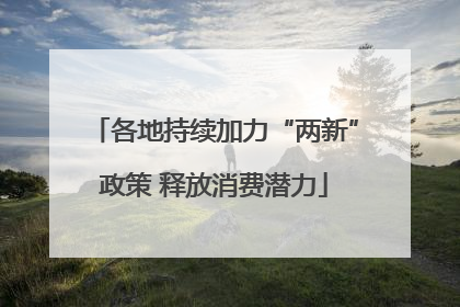 各地持续加力“两新”政策 释放消费潜力