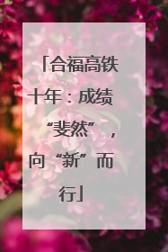 合福高铁十年：成绩“斐然”，向“新”而行