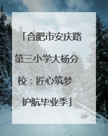合肥市安庆路第三小学大杨分校：匠心筑梦 护航毕业季