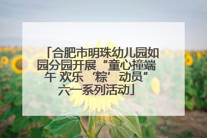 合肥市明珠幼儿园如园分园开展“童心撞端午 欢乐‘粽’动员”六一系列活动