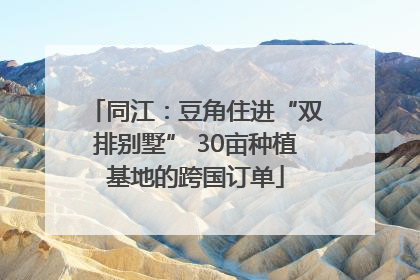 同江：豆角住进“双排别墅” 30亩种植基地的跨国订单